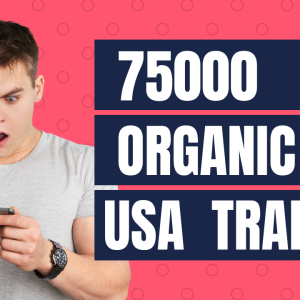 organic website traffic usa 75000 traffic